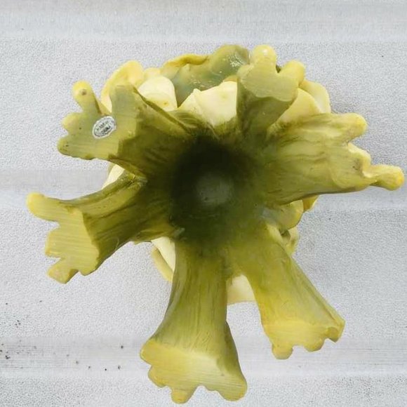 Gorgeous Bunch of Yellow Calla Lilies Flower Sculped Resin Vase/Holder - Picture 12 of 12